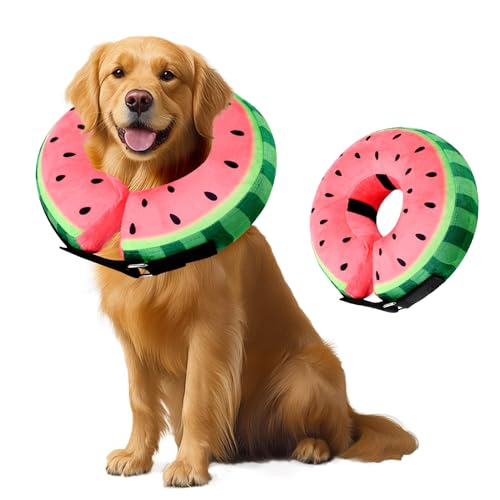 Collerette Chien Gonflable, Collier de Protection Anti Lechage pour Chiens et Chats, Collier de...