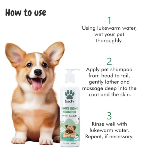 Image of Bscly Short Shine Dog Shampoo - Ticks & Fleas Prevention - Enriched with Chamomile, Aloe and Coconut Oil - Moisturizes & Heals Skin - Suitable for Pomeranians to Golden Retrievers - 100Ml Pack of 2