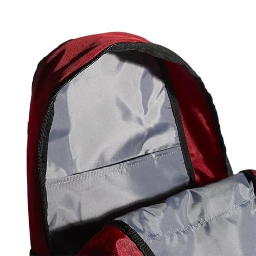 Image of Striker Team Sports Backpack for soccer and more, workout bag for men and women