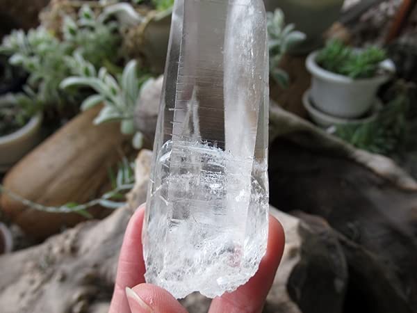 Amazon.co.jp: ブラジル バイーア州産 レムリアンシードクリスタル