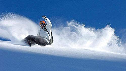 shuodade Pintura por n�meros Pintura DIY Kit Digital Lienzo Obra de Arte Pinturas Regalos Decoraciones (16 x 20 Pulgadas) Sin Marco-�rea de Invierno Snowboards Deportes