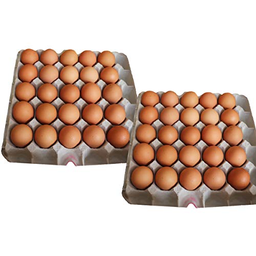 �C���G�b�O �Ă������܂� 50�� �l���� �� ���Q���Y �퉷 �{�� ���܂� ���Y ���Q