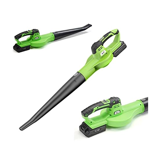 BUZZ Leaf Blower,20V Garden Cordless Electric Leaf Blower,20V with 2.0Ah Lithium-Ion Battery,High Speed 120km/h,Lightweight Body Soft Grip Handle Multi-Function Leaf Blower & Dust Sweeper