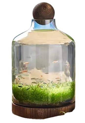 SailozaiؒꓧKXA{AiϐԕrAKXԕrAlACfAؐpbgCeAet (D^Cviؐx[X{[j)