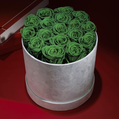 17 Flowers in a Luxury Suede Box, Birthday Gifts for Women, Preserved Flowers, Mothers Day Roses Gift for Mom, Dark Geen