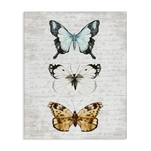 Butterfly Insect Collection, 24 x 30 Inch Canvas Wall Art