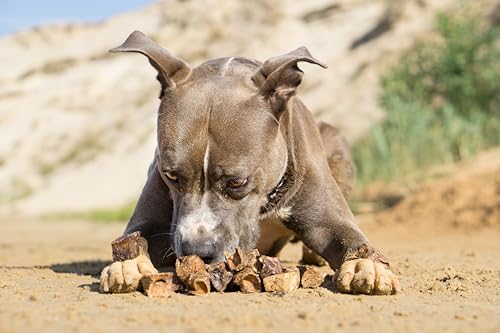 mascota vital – Getrocknete Hirschlunge für Hunde | 100 % natürliche Lungenwürfel vom Hirsch | Fettarm | Ideal für Sensible Hunde, Welpen & Senioren | Ohne Zusatzstoffe (Hirsch-Lungenwürfel)