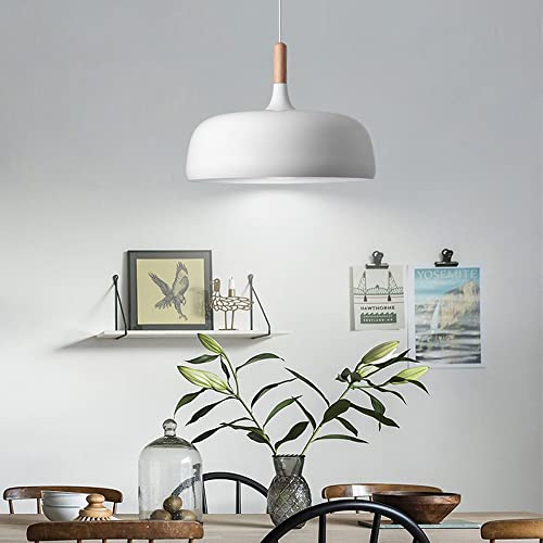 Luminaires pendentifs de plafond avec cordon de 120 cm réglable - 2