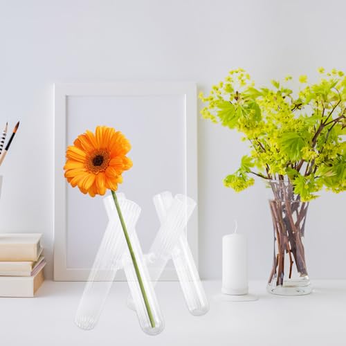 Decoración hidropónica de mesa con jarrón de vidrio de 4 tubos 8