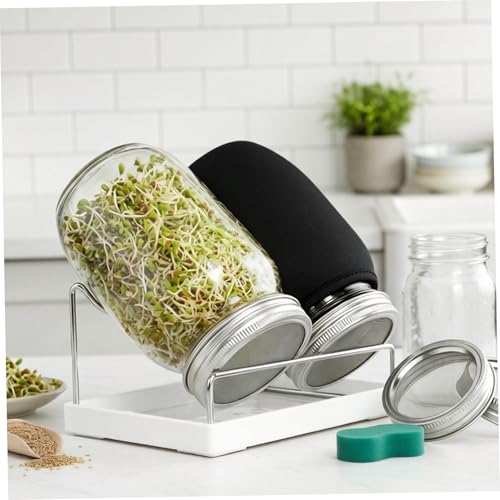 Kit pot germination avec support incliné pour éviter les moisissures - 5