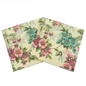 WallyE Shabby Chic Floral Paper Napkins,Mint Floral Printed Country Garden Inspired for Thanksgiving Garden Party or Wedding,20 Pack WallyE Shabby Chic Floral Paper NapkinsMint Floral Printed Country Garden Inspired for Thanksgiving Garden Party or Wedding20 Pack