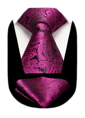 Image of HISDERN Ties for Men Paisley Tie and Pocket Square Woven Classic Floral Mens Ties Handkerchief Set Wedding Party Necktie
