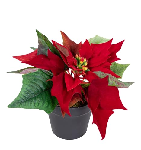 Seidenblumen Roß Weihnachtsstern 14x20cm rot im schwarzen Topf PM künstliche Blume Kunstpflanze Kunstblumen Poinsettie