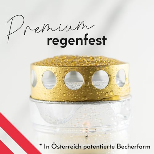 6er Set HOFER GRABKERZEN 7 Tage Brenndauer - Das Original [Gold Select] regenfest | Kerzen mit Deckel | Grablicht, Friedhofskerze mit Motiv | Kerzen für Grabdeko