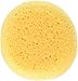 Creative Hobbies® 10 Pack of 3-1/2 Inch Round Synthetic Silk Sponges for Painting, Crafts, Ceramics, Household Use & More! Pack of 10 Sponges