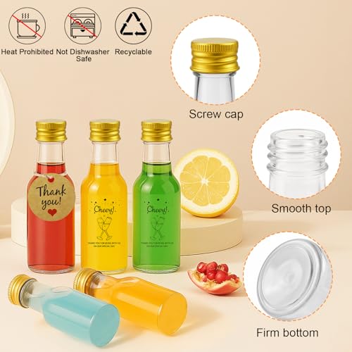Nadisean 46 Stück 25ml Kleine Flaschen zum Befüllen, Mini Flaschen zum Befüllen Kunststoff, Kleine Likörflaschen mit Deckel Trichter Etikett, Wiederverwendbare Schnapsflaschen für Hochzeiten Party