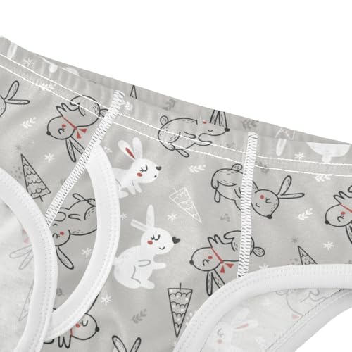Boys' Exclusive Briefs Toddler Underwear 95% Combed Cotton Boxerbriefs 2T Bunny and Ice - Cream Pattern 734