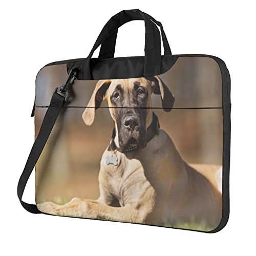 13/14/15/15.6C` m[gp\RP[X Ռz PCP[X p\RobO rWlXu[tP[X V_[obO bvgbv یP[X 񂰃Jo p\R΂ t @\ ʋ ʊw A o s jpi