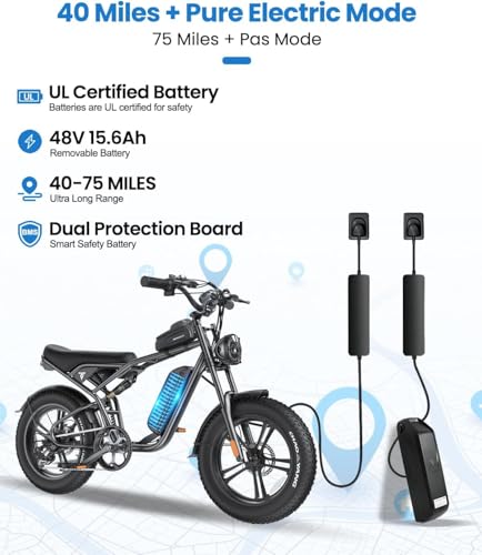 Trafly DYZ Adults Electric Bike thumb #2