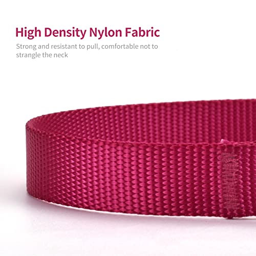 AUDWUD Thick Nylon Collar,Classic Adjustable Dog Collar in Multiple Colors,Suitable for Small,Medium and Large Dogs,4 Sizes - Image 2