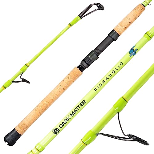 Dark Matter Inshore Spinning Rod 7