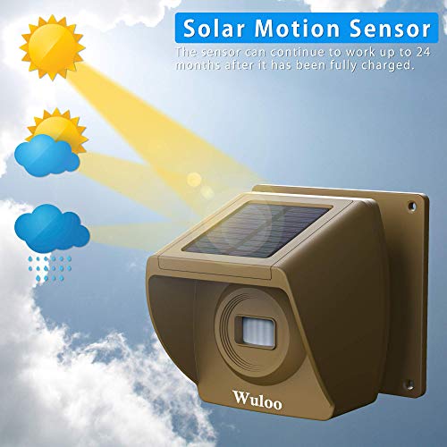 Expandable For Wuloo Solar Wireless Driveway Alarm System (Only Sensor, Can Not Work Without Receiver) #TOP1