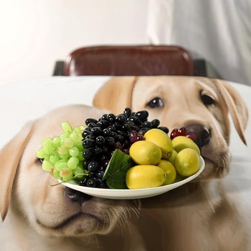 Nappe labrador chiot lavable et imprimée pour décorer votre table - 6
