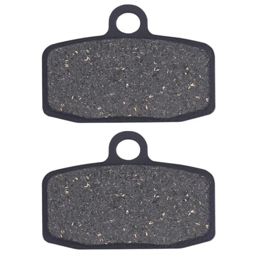 Plaquettes de frein arrière FA602 pour circuits terre TC85