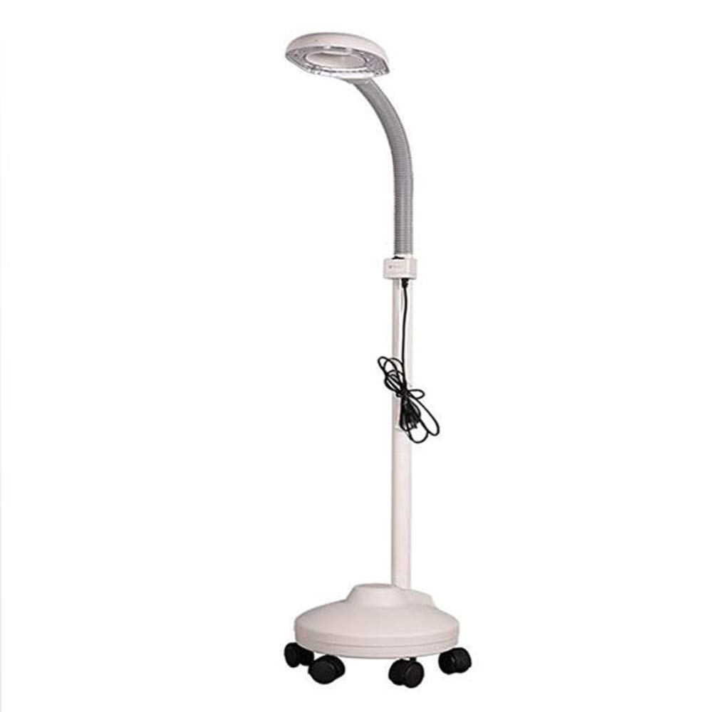 EUQKKWLOY Lámpara de pie con Lupa LED 3X, luz fría, Lupa Grande portátil, lámpara de iluminación con Lupa Ideal.