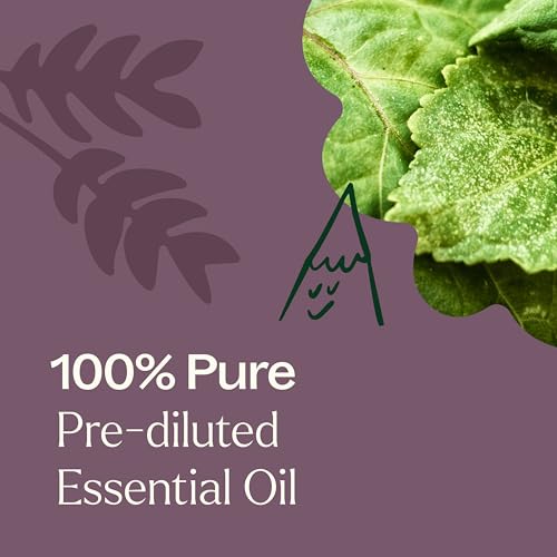 Aceite Esencial Patchouli Oscuro Plant Therapy Roll-On 10 mL miniatura 5