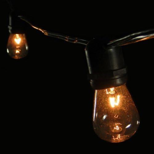 Commercial Edison String Lights, 24 Clear Bulbs, 54 ft. Black Wire