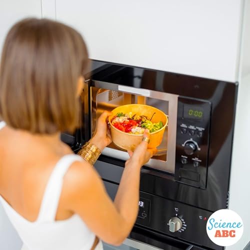 What If a Microwave Oven Develops a Hole?