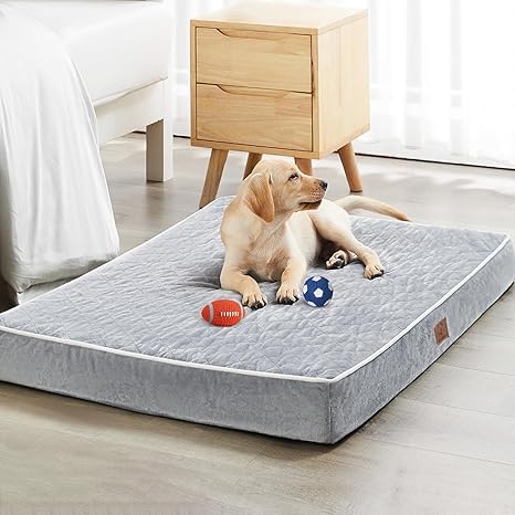 Magic Dog Orthopedic Dog Beds for Large Dogs, Extra Large Waterproof Dog Bed with Removable Washable Cover & Anti-Slip Bottom (55.0"L x 42.0"W x 4.0"T, Light Grey) (B0D8SSJZ3J) Amazon Price History, Amazon Price Tracker