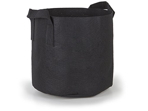 247Garden 5-Pack 10-Gallon Aeration Fabric Pot/Plant Grow Bag w/Handles (260 GSM, Black, 13H x 15D)