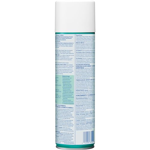 image for Clorox Commercial Solutions Clorox Disinfecting Aerosol Spray, Fresh S