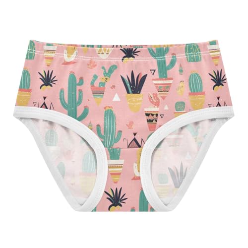 Wusikd Cacti Succulents Girls' Underwear Cotton Cute Girls Briefs Soft Toddler Underwear 2T
