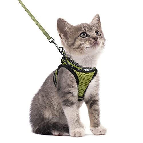 rabbitgoo Cat Harness and Leash Set for Walking Escape Proof, Adjustable Soft Kittens Vest with Reflective Strip for Cats, Comfortable Outdoor Vest, Olive Green, S (Chest:9.0"-11.0")