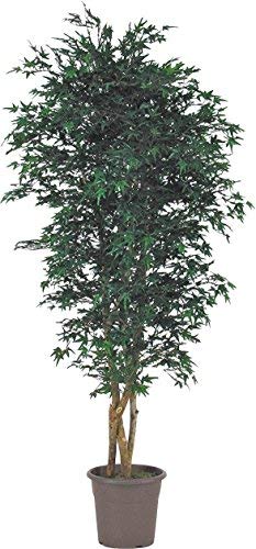 Acero Mini Verde - Albero Artificiale da Arredo Interno Con Tronchi Veri - Alto 175 cm