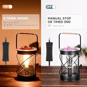 Electric Wax Melt Warmer, 40W Edison Bulb Scentsy Wax Warmer with 2/4/8h Timer, Glass Iron Scentsy Warmer Burner Melter for Wax Melts Electric Wax Melt Warmer 40W Edison Bulb Scentsy Wax Warmer with 248h Timer Glass Iron Scentsy Warmer Burner Melter for Wax Melts
