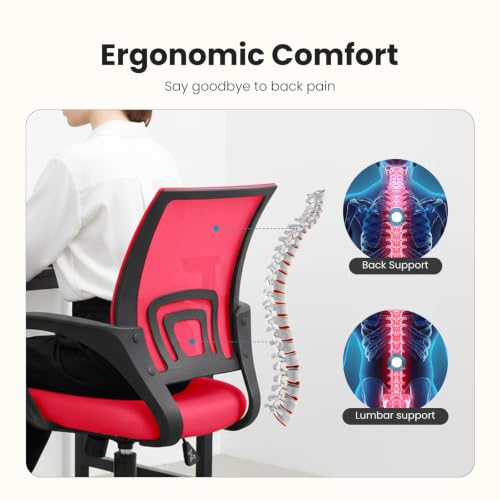 Image of DUMOS Ergonomic Office Chair, Mid-Back Executive Desk Chair 2 Pack
