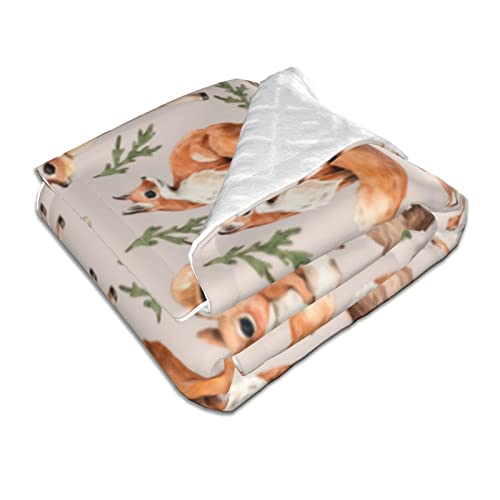 Duduho Cute Forest Animals Baby Blankets Soft Warm Fuzzy Plush Squirrel Mouse Fawn Fox Hare Hedgehog Bird Bed Throw Blanket For Newborn Infant Toddler Girls Boys Kids, 30"X40" #TOP1