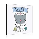 Gift Base Beware szalony kot chłopcy sztuka ścienna panel ramka na zdjęcia