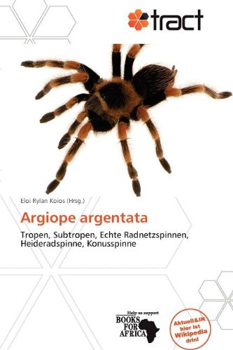 Argiope argentata: Tropen, Subtropen, Echte Radnetzspinnen, Heideradspinne, Konusspinne