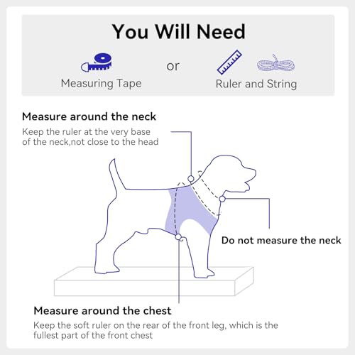 Joytale Hundegeschirr, Reflektierend Weich Gepolstert Hunde Geschirr, Air-Mesh Atmungsaktiv Brustgeschirr für Mittelgroße Hunde, XL, Königsblau