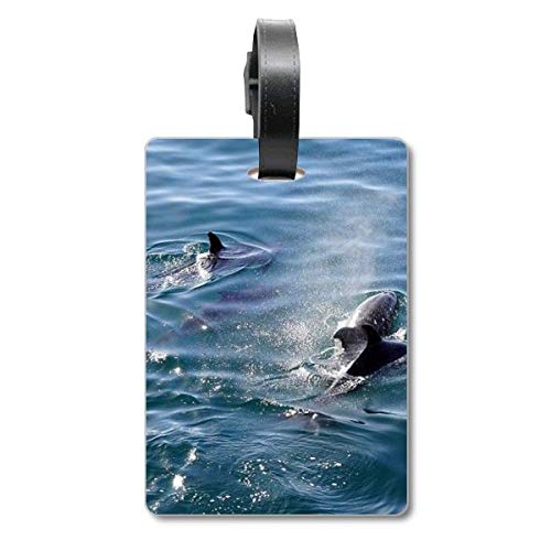 Étiquette de voyage Ocean Killer Baleine pour ne plus perdre votre valise