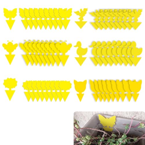 60 Pezzi Trappola per Moscerini, Gialle Trappola per Mosche Della Frutta, Plug-in Piastre per Insetti per moscerini in casa, Afidi, Mosche Bianche