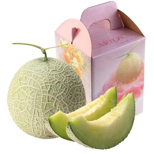 大玉 プレミアムアールスメロン 4L1玉 秀品 1.9kg以上 先行予約 国産 贈答 化粧箱入 宮崎県産 ※2025年11月〜12月の期間内に出荷