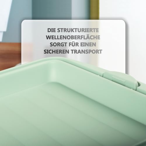 Foto von Stimo 2x Kuchen Transportbox mit Tragegriff Deckel Kuchenbehälter Blechkuchen Container mit Klickverschluss (Mintgrün)