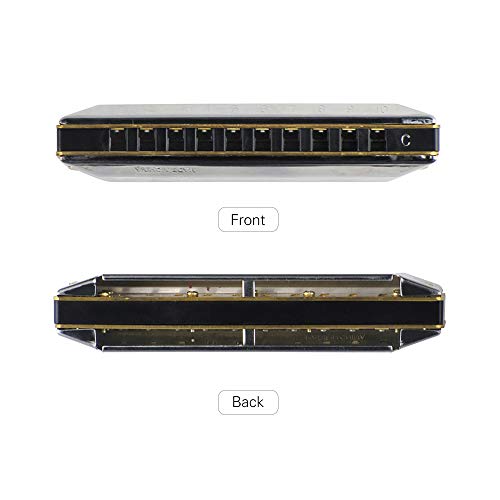 KKmoon Chave profissional de um 10 buracos gaitas de harmônica harmônica de blues de azuis com caixa