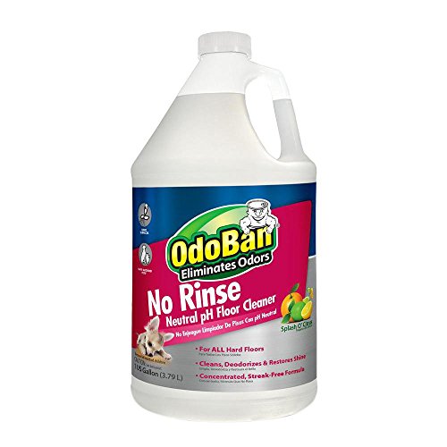 OdoBan No Rinse Neutral pH Floor Cleaner Concentrate, 1 Gal